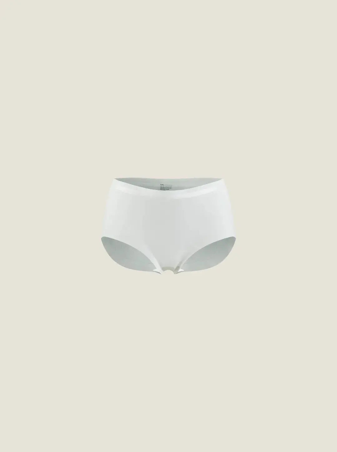 NuAir Mesh Flex Brief Women's Underwear