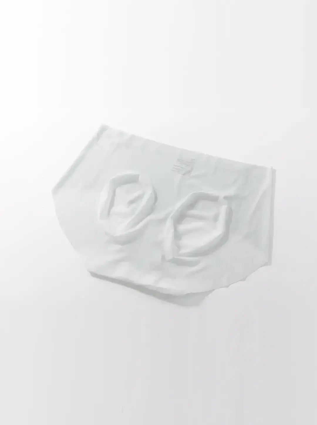 NuAir Mesh Flex Brief Women's Underwear